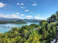 -老淳安—伴山伴湖(千岛湖开元度假村店)