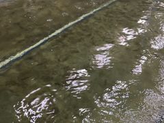 -光头佬室内钓虾场·烧烤·团建·亲子(中山八路店)