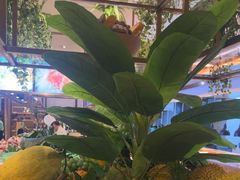 -冀粤香海鲜自助餐厅(西美五洲店)