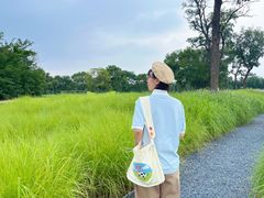 -汉长安城未央宫国家考古遗址公园