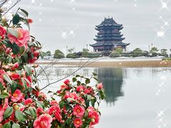 -阳澄湖半岛旅游度假区