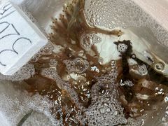-华都海鲜酒家