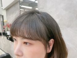 -蚂蚁造型俱乐部