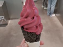 -喜茶(上海打浦桥日月光gelato lab+店)