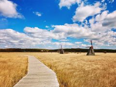 -塞罕坝国家级自然保护区