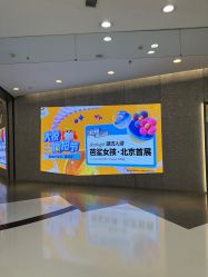 -乐高授权专卖店(朝阳大悦城店)