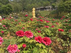 -幕燕滨江·长江观音景区