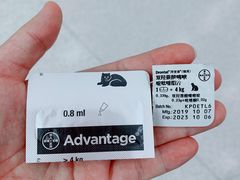 -谐和贝康宠物医院24小时·宠保定点(急重症转诊中心)