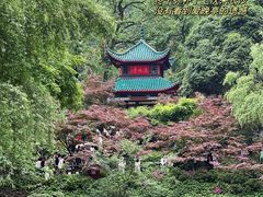 -岳麓山风景名胜区
