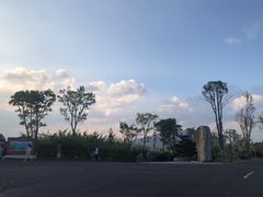 -江南天池