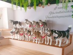-Husky Go! 哈士奇体验馆·宠物咖啡厅狗咖