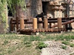 -石家庄市动物园