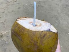 -东郊椰林