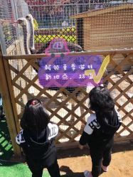 -萌宠亲子动物乐园(槐房万达店)