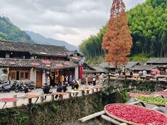 -林坑古村落