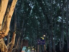 -刘长兴(卫岗店)
