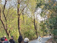 -桤木河湿地公园