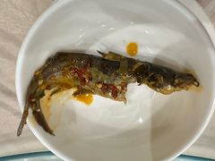 -稻香村鱼庄