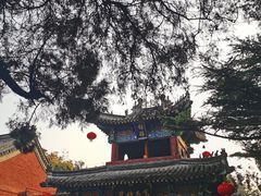 -洛阳白马寺