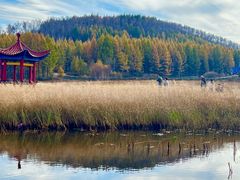 -塞罕坝国家级自然保护区