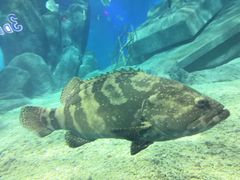 -福州罗源湾海洋世界旅游区