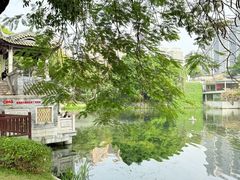 -荔湾湖公园