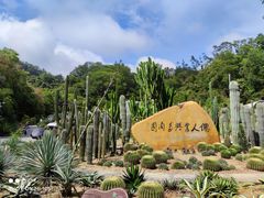 -深圳仙湖植物园