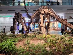-自贡恐龙博物馆