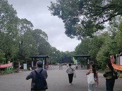 -上海海湾国家森林公园