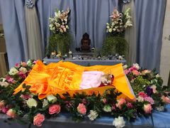 -彩虹桥宠物火化殡葬善终服务(金乐大厦店)