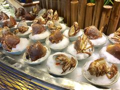 -阳光岛·海鲜盛宴(银泰中心in99店)