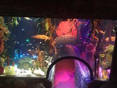 -沈阳海洋探索中心