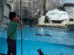 -帝企鹅自助餐厅•儿童岛•真企鹅(长隆企鹅酒店)