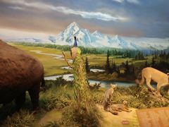 -陕西自然博物馆