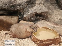 -皇家海洋乐园