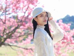 -风云岭森林公园