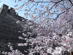 -北京明城墙遗址公园