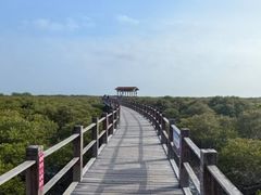 -北海金海湾红树林生态旅游区