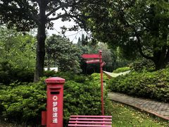 -宜兴龙背山森林公园