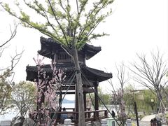 -东钱湖小普陀景区