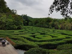 -大屏嶂森林公园