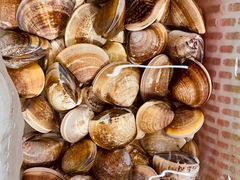 -沙田台山海鲜·酣客酒窖