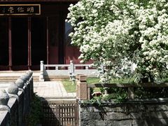 -苏州文庙(姑苏区)