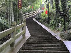 -龙井村