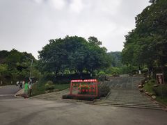 -火炉山森林公园
