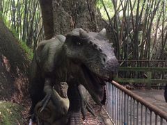 -寻龙山风景旅游区