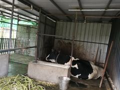 -洪湖家庭农场·团建·露营·会议