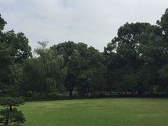 -申粤轩酒楼·三十年粤菜经典(丁香花园店)
