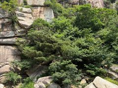 -无染寺