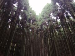 -山王坪喀斯特国家生态公园
